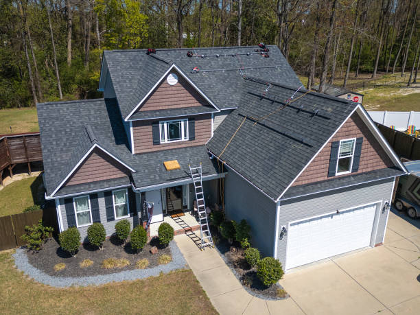 Best Roof Moss and Algae Removal  in Pembroke, NC